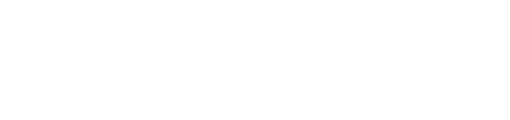 TOWA APF-100 Logo